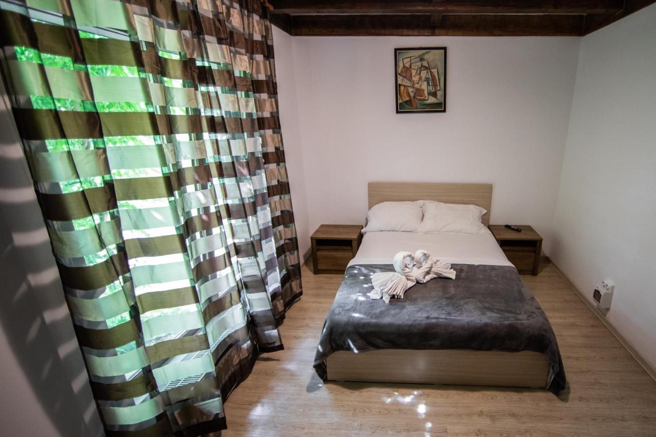 Casa Arcadia 1 Piscina,Jacuzzi, Sauna Buzău Zewnętrze zdjęcie