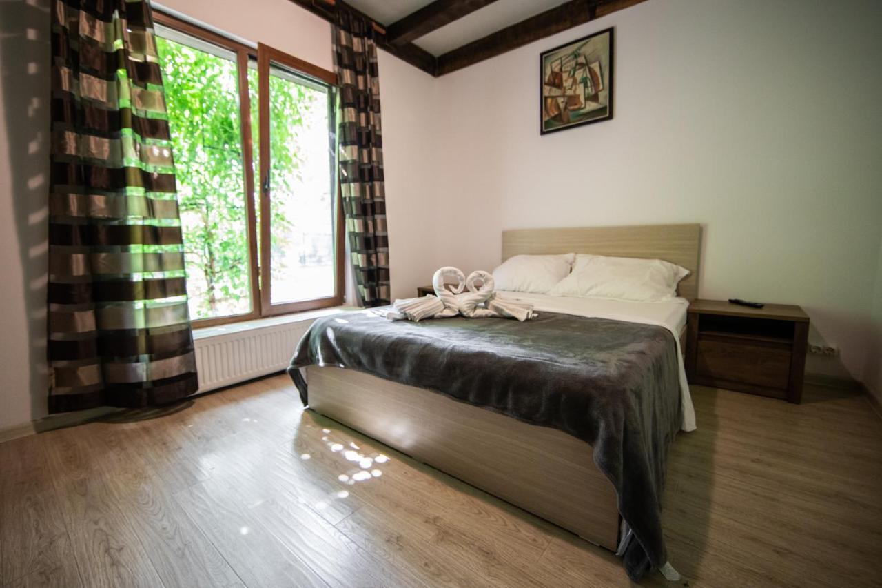 Casa Arcadia 1 Piscina,Jacuzzi, Sauna Buzău Zewnętrze zdjęcie