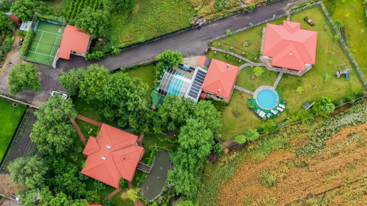 Casa Arcadia 1 Piscina,Jacuzzi, Sauna Buzău Zewnętrze zdjęcie