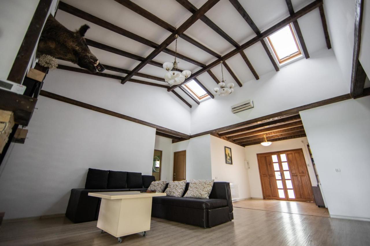 Casa Arcadia 1 Piscina,Jacuzzi, Sauna Buzău Zewnętrze zdjęcie