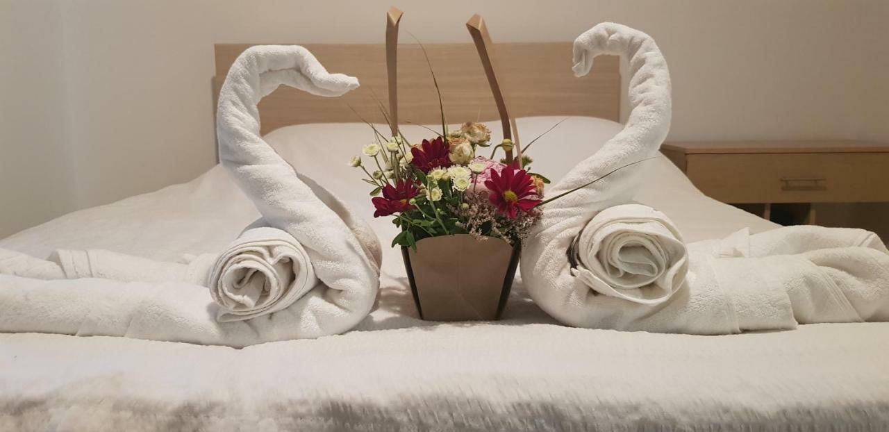 Casa Arcadia 1 Piscina,Jacuzzi, Sauna Buzău Zewnętrze zdjęcie